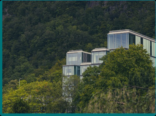 image 1 convertido de svg